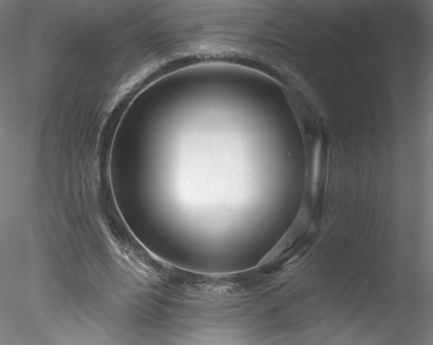X0000078270488200611031146