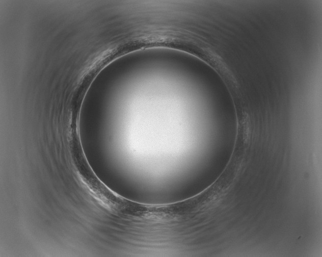 X0000078270490200611031146