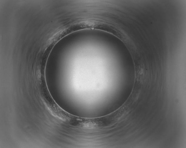 X0000078270500200611031146