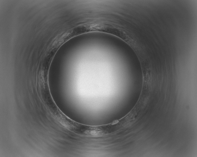 X0000078270506200611031146