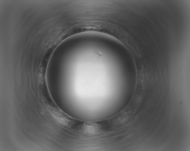 X0000078270510200611031146