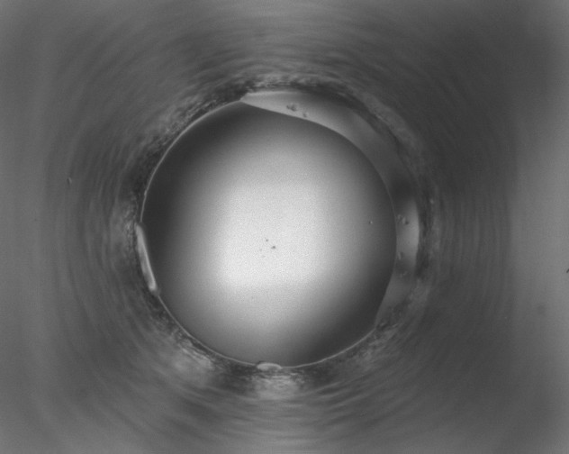 X0000078270513200611031146