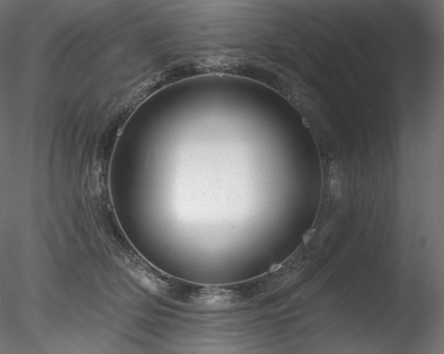 X0000078270514200611031146