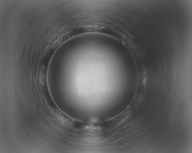 X0000078270515200611031146