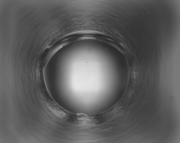 X0000078270516200611031146
