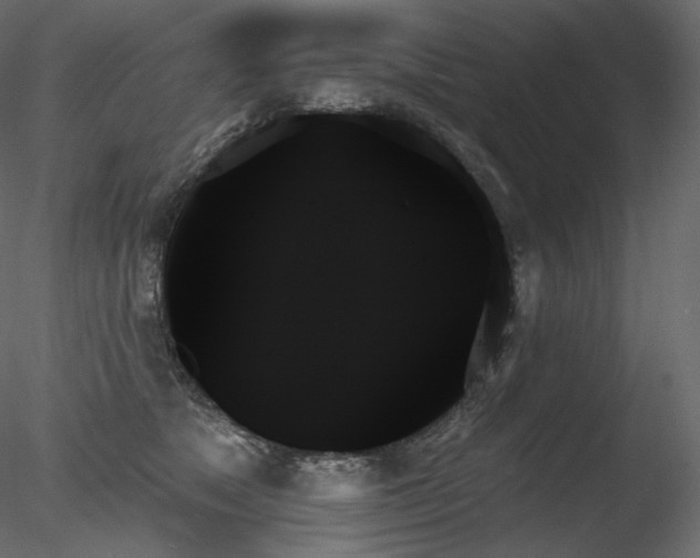X0000078270517200611031146