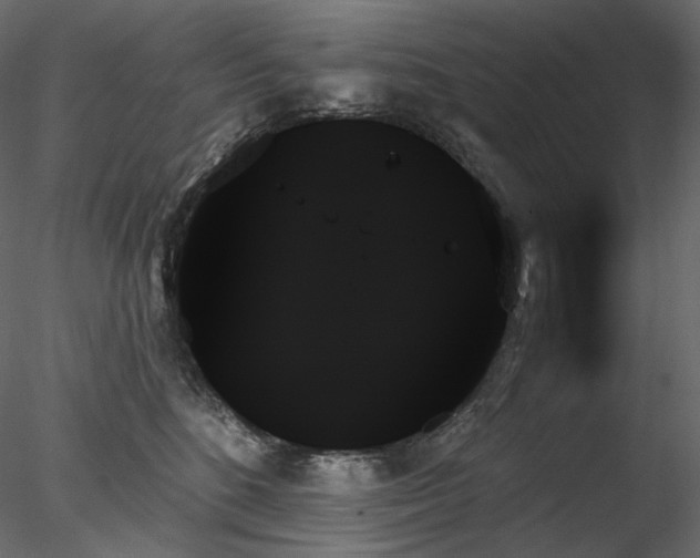 X0000078270520200611031146