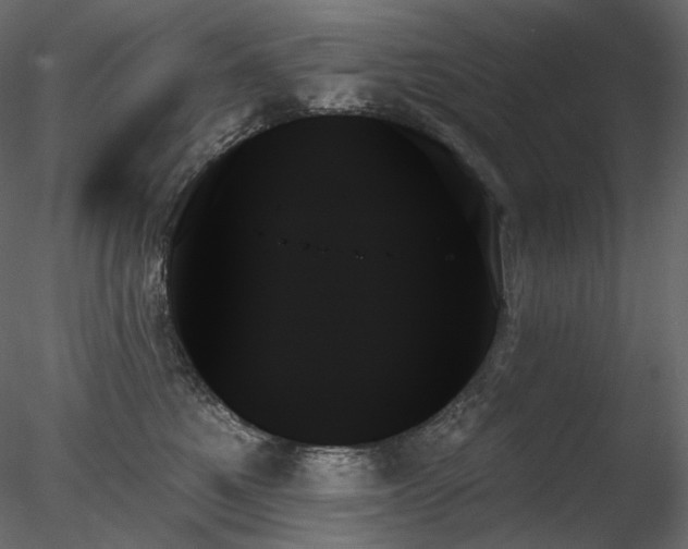 X0000078270521200611031146