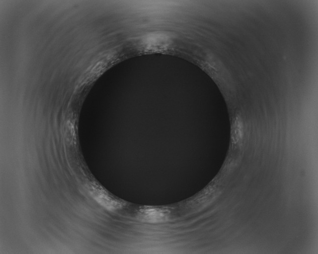 X0000078270522200611031146