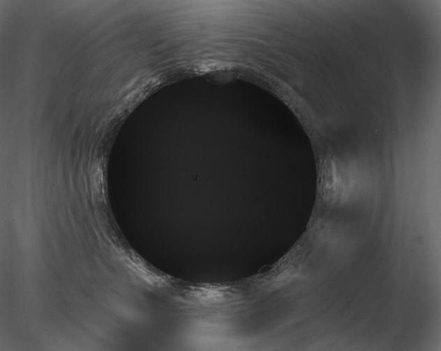 X0000078270523200611031146