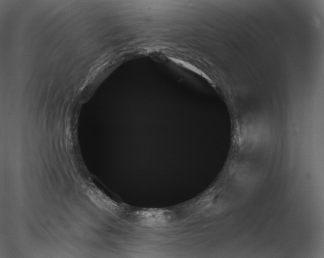 X0000078270524200611031146