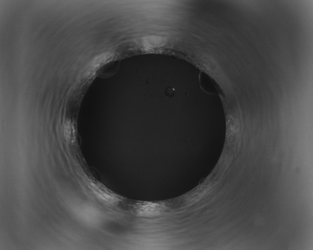 X0000078270527200611031145