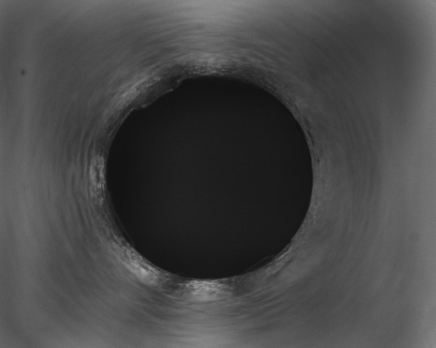 X0000078270528200611031145