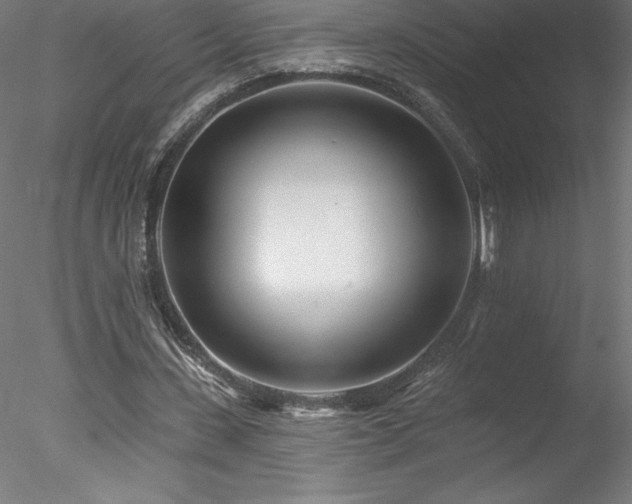 X0000078270531200611031145