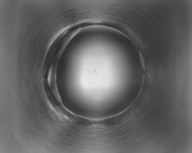 X0000078270536200611031145