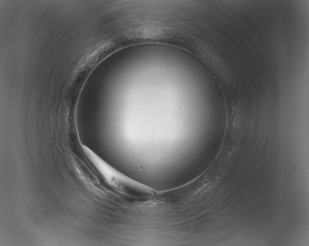 X0000078270542200611031145