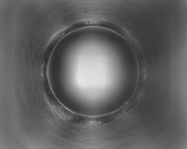 X0000078270543200611031145