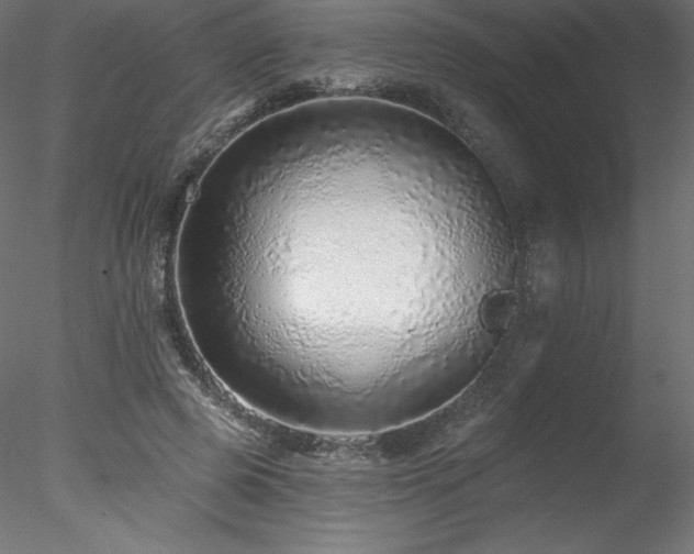 X0000078270545200611031145