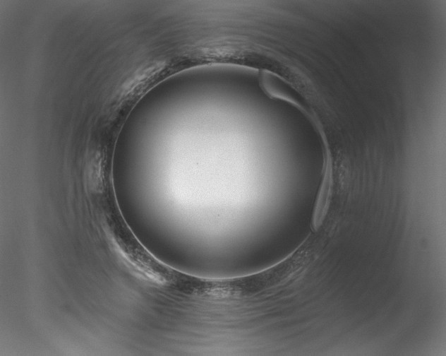 X0000078270546200611031145