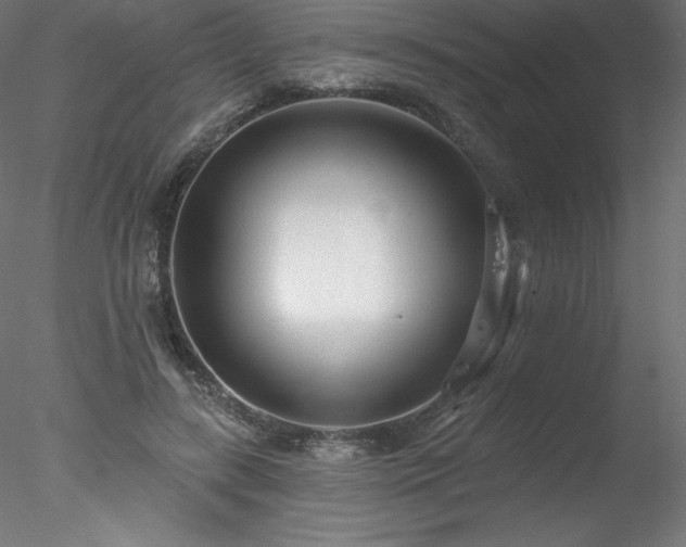 X0000078270547200611031145