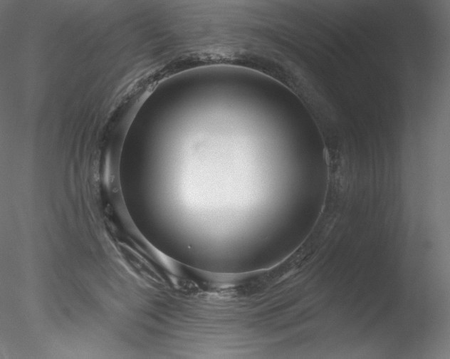 X0000078270548200611031145