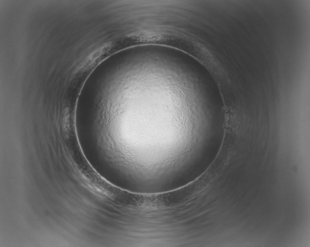 X0000078270549200611031145