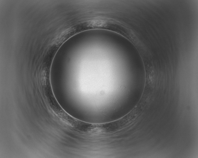 X0000078270551200611031145