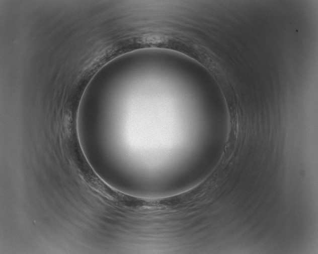 X0000078270556200611031145