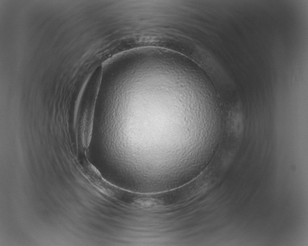 X0000078270557200611031145