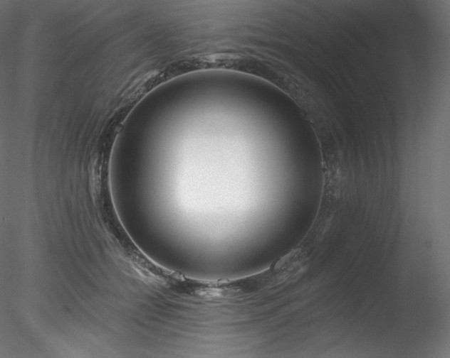 X0000078270558200611031145