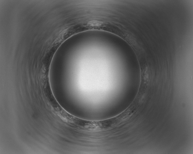 X0000078270559200611031145
