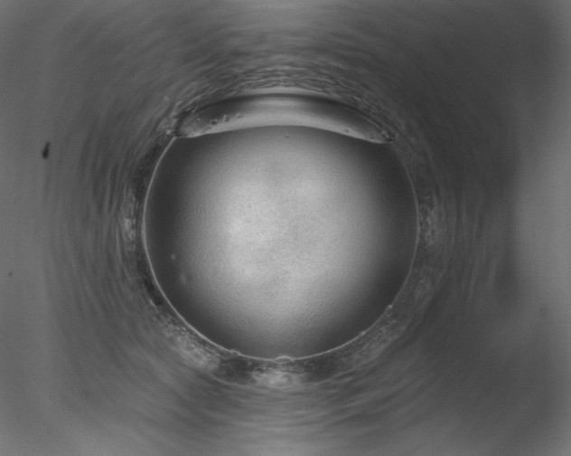 X0000078270561200611031145