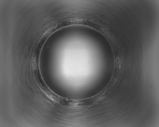 X0000078270564200611031145