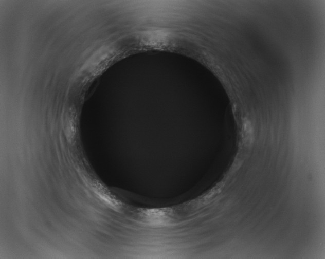 X0000078270566200611031145