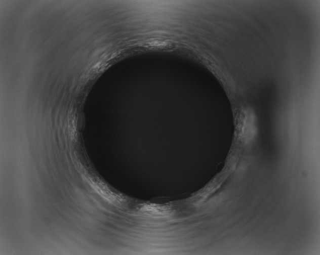 X0000078270568200611031145