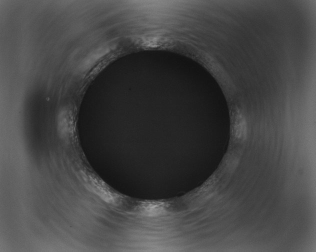 X0000078270569200611031145