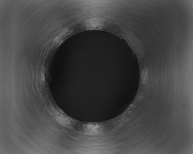 X0000078270570200611031145