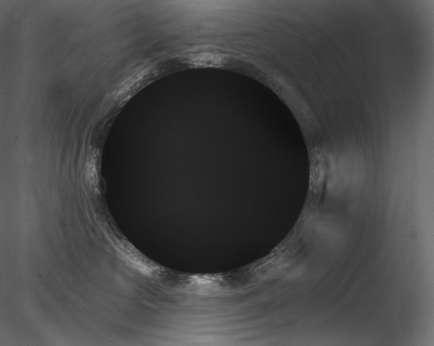 X0000078270573200611031145