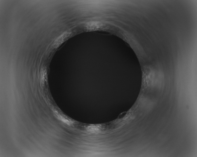 X0000078270574200611031145