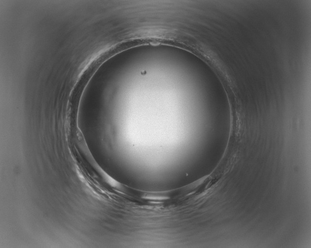 X0000078270580200611031145