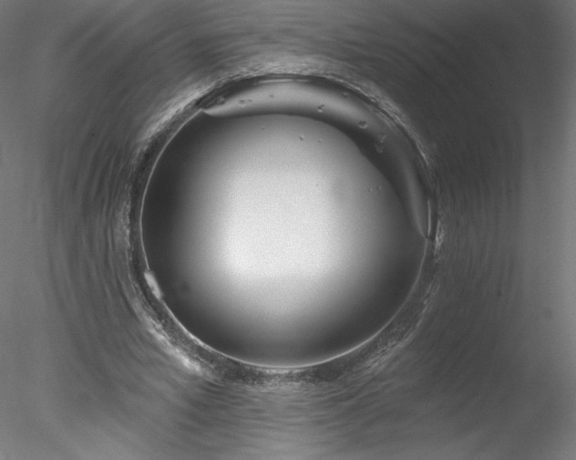 X0000078270581200611031145