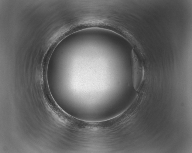 X0000078270582200611031145
