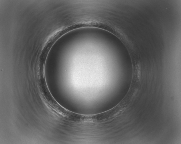 X0000078270587200611031144