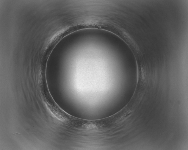 X0000078270588200611031144
