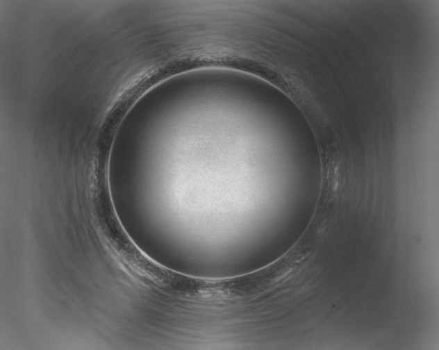 X0000078270591200611031144