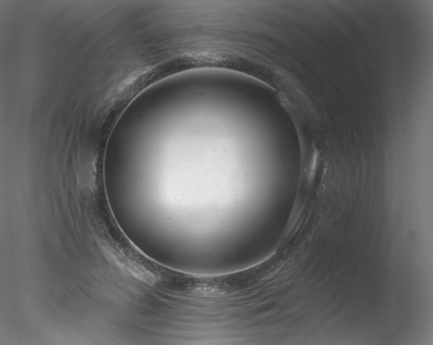 X0000078270596200611031144