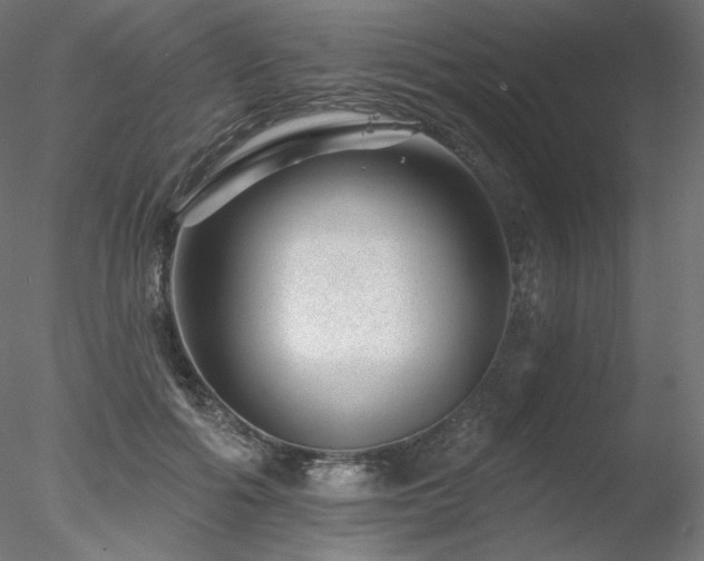 X0000078270602200611031144