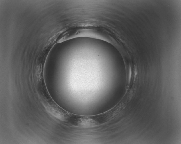 X0000078270605200611031144