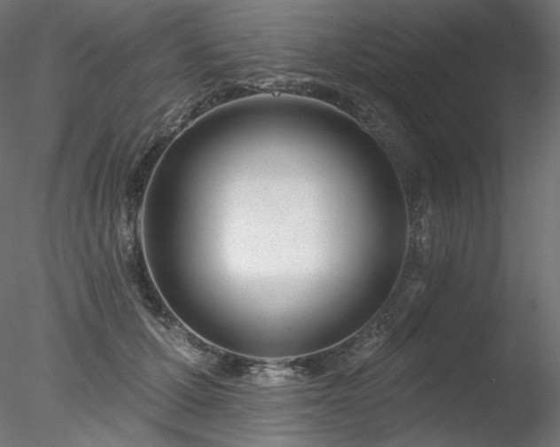 X0000078270607200611031144