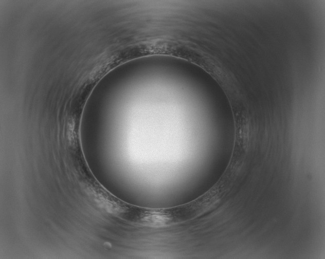 X0000078270610200611031144